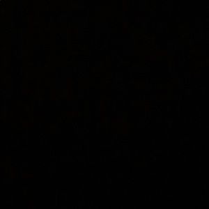 Meet your Posher, Summer